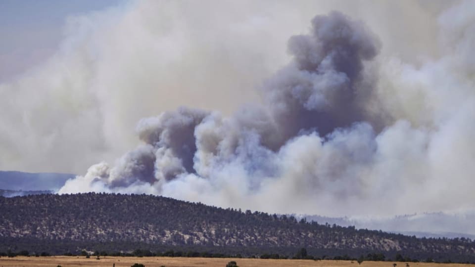 Fire on a tree-lined hill in the distance