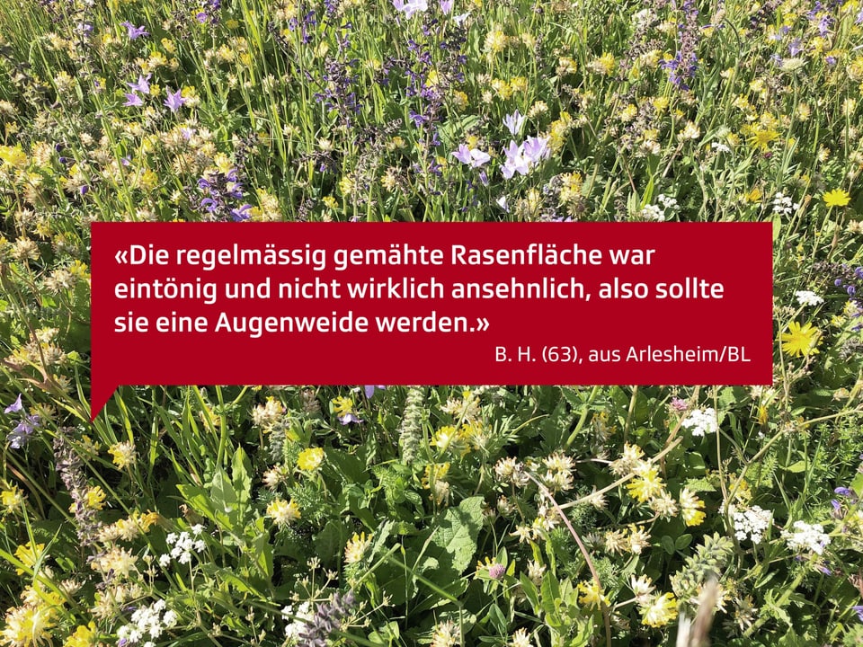 Die regelmässig gemähte Rasenfläche war eintönig und nicht wirklich ansehnlich, also sollte sie eine Augenweide werden. B.H. (63), aus Arlesheim/BL