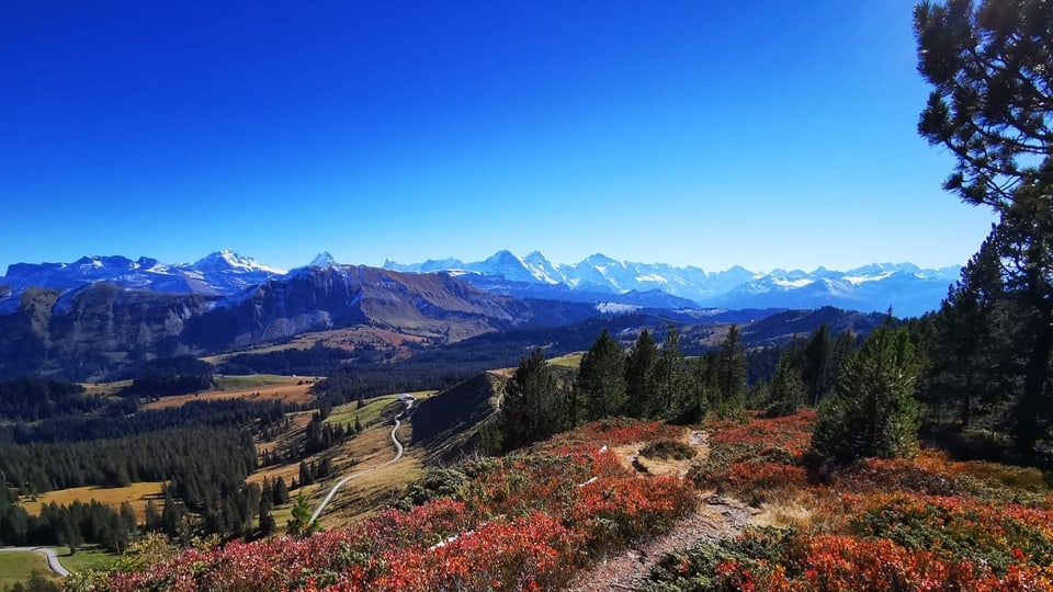 Hogant/BE Bergpanorama