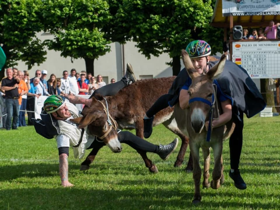 Zwei junge Männer machen ein Wettrennen mit zwei Eseln. 