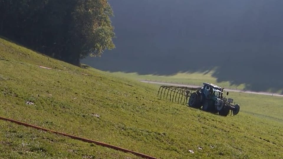 Ein Traktor mit Schleppschläuchen güllt einen Hang.