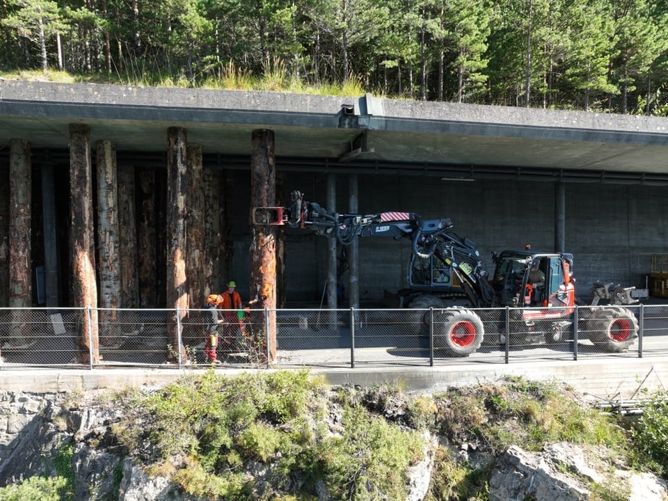 Trabalhador florestal com equipamento pesado em frente a um muro de concreto na floresta.