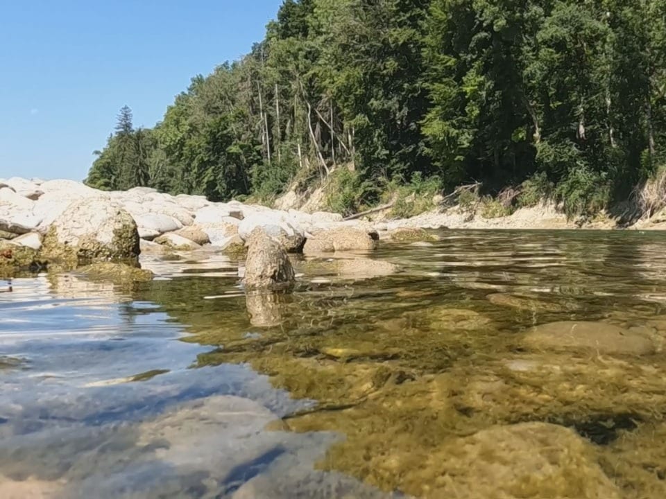 Bei Felben führt die Thur weniger Wasser als sonst.