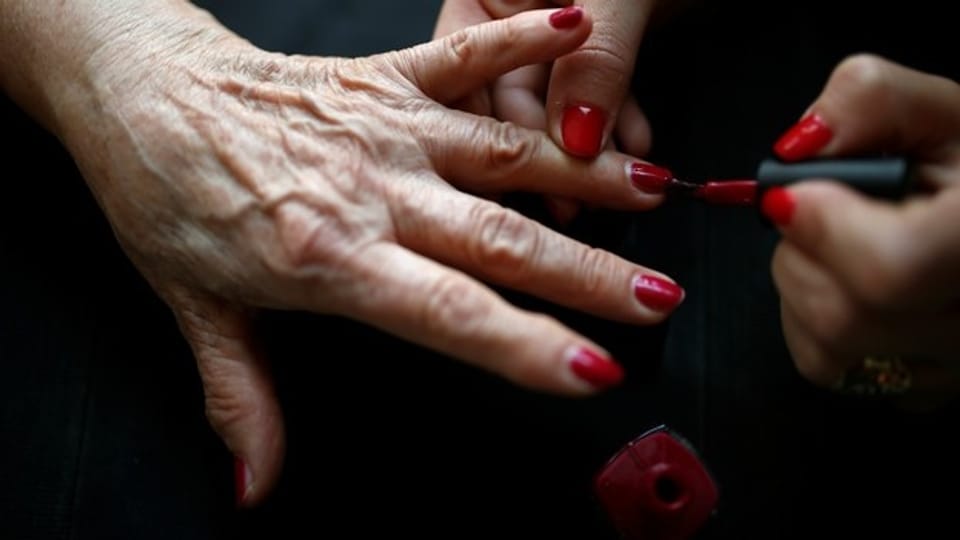olive künstlich Künstlicher Olivenbaum naturgetreu 165cm – Katie Fischer