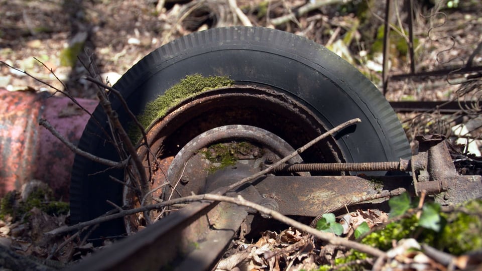 Ein alter Autoreifen auf dem Waldboden.