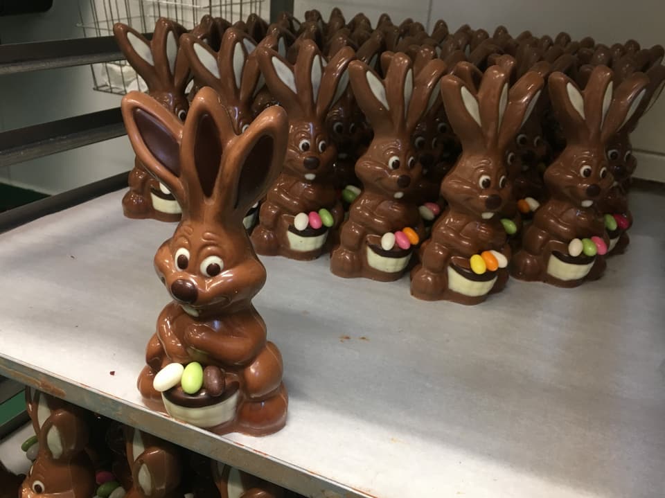 Viele Osterhasen aus Schokolade mit drei Ohren.