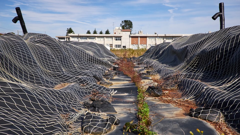 Schwarze Plachen mit einem Netz geschützt; im Hintergrund ein Schulhaus.