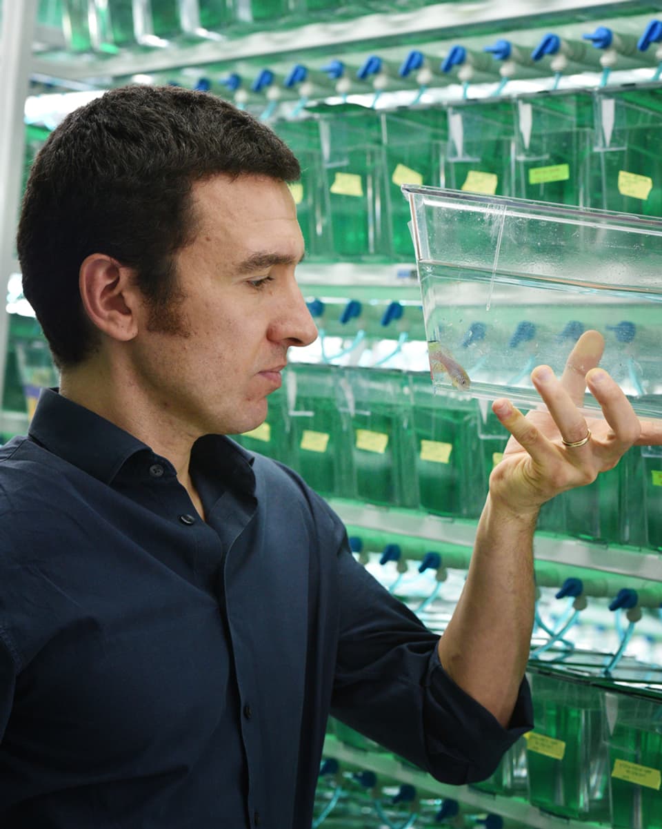 Der Biologe Dario Valenzano hält einen Behälter mit einem Fisch und schaut das Tier an.