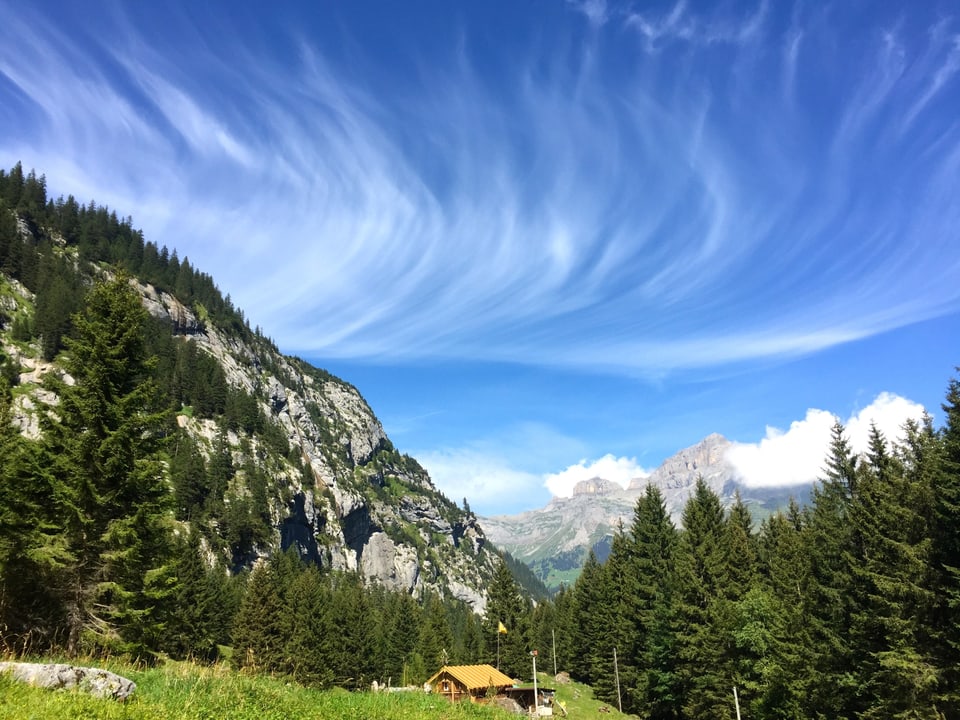 Eine Alphütte ist von einem lichten Wald eingebettet. Über dem sind am blauen Himmel federförmige Schleierwolken zu sehen. 
