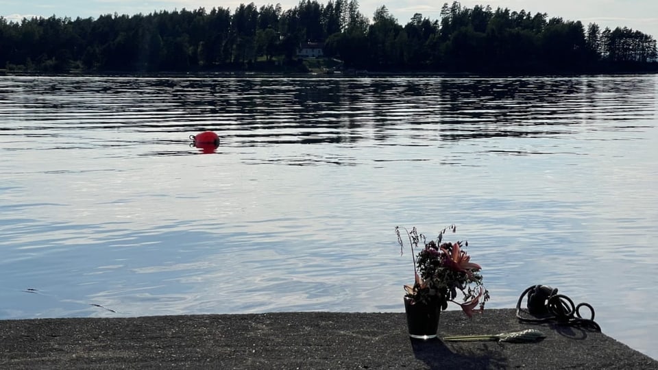 Blumen vor der Insel Utøya.