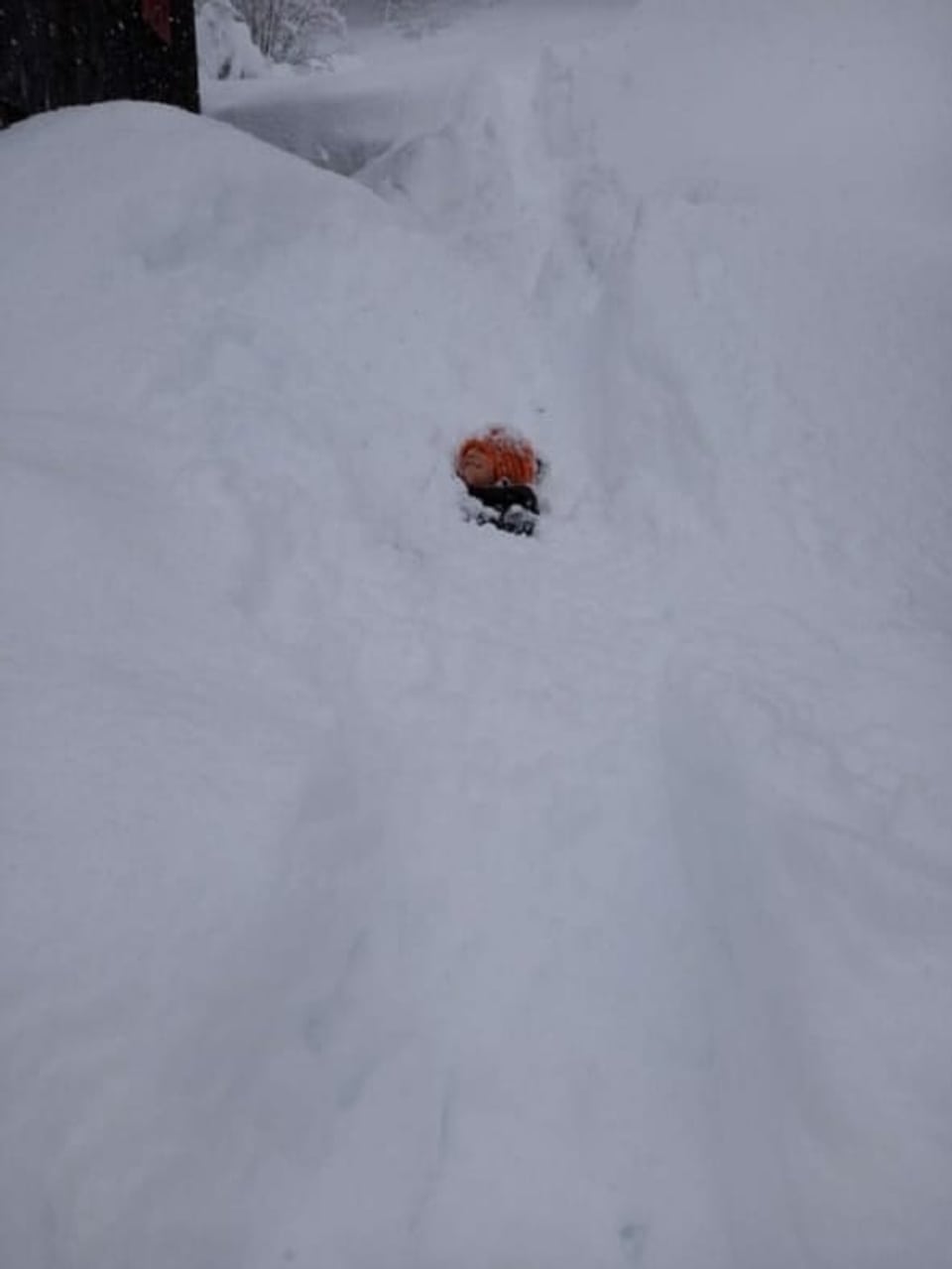Saskia versinkt im Schnee
