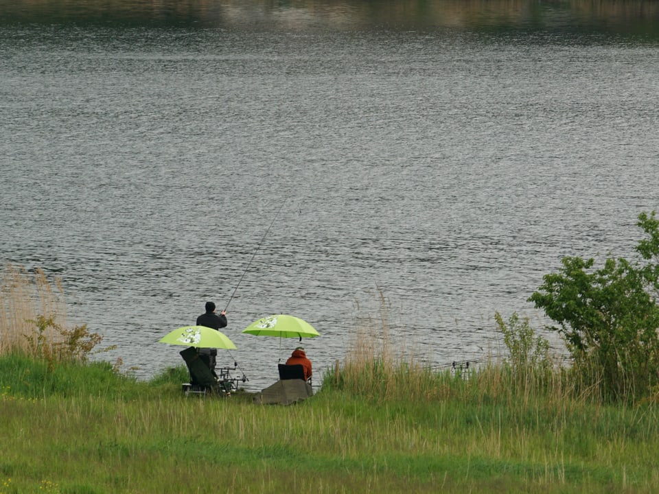 Die Fischer haben sich bei diesem Regenwetter gut eingerichtet beim Moossee