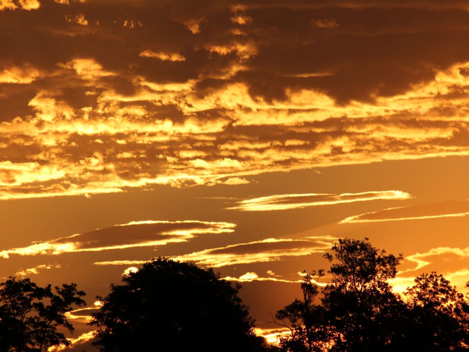 Wolken am goldfarbenen Morgenhimmel