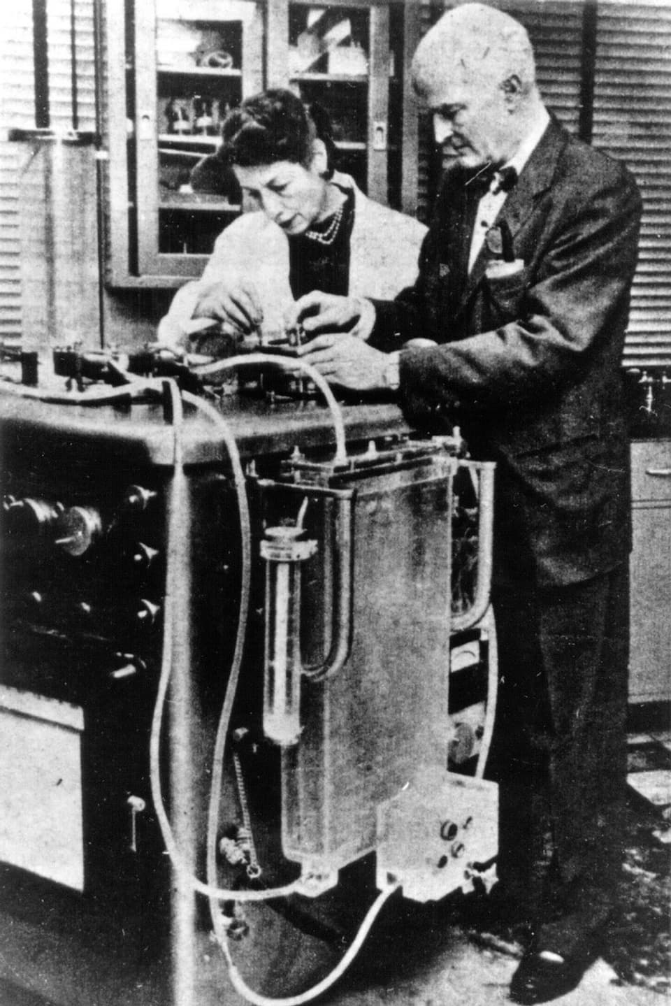 Gibbon mit Assistentin an einer Hez-Lungen-Maschine