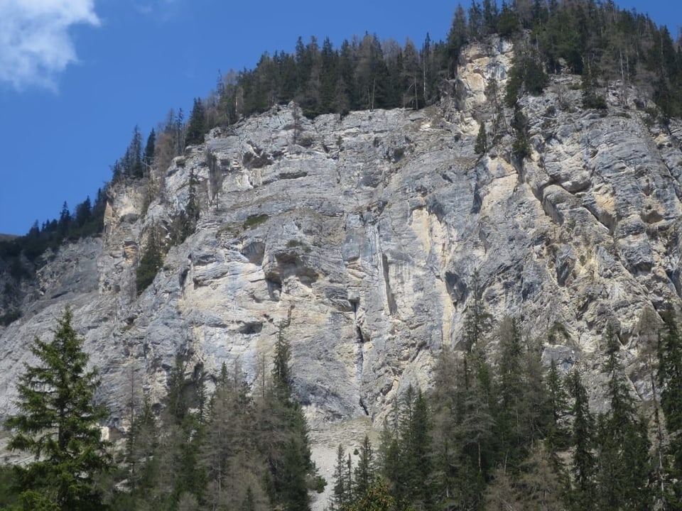 Eine Felswand mit Steinadlerhorsten