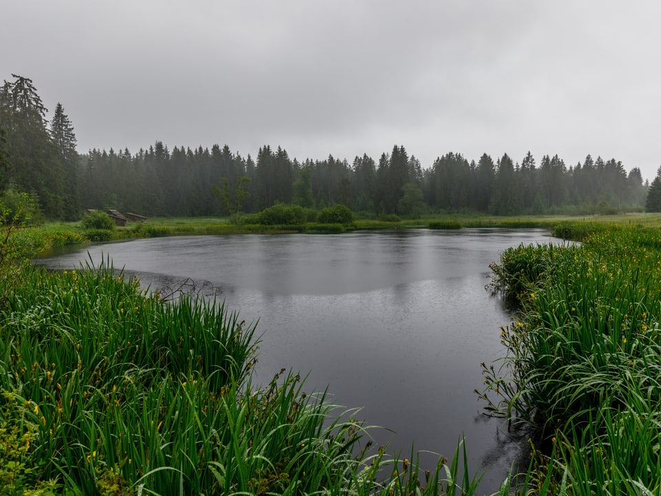 Ein See dahinter graue und nasse Wolken. Am Ufer grünes Gras.
