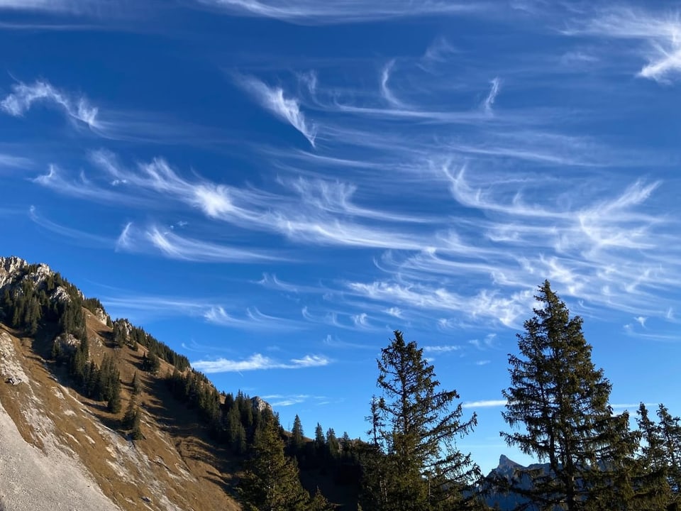 Cirrus uncinus ist eine Unterart der Cirrus-Wolke.