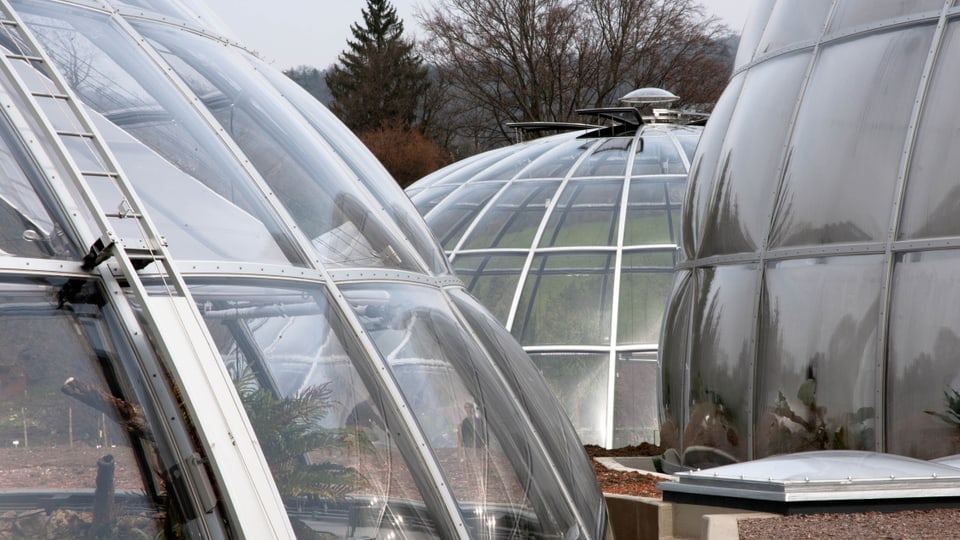 Zürich Schaffhausen Tropenhäuser im Botanischen Garten erstrahlen in