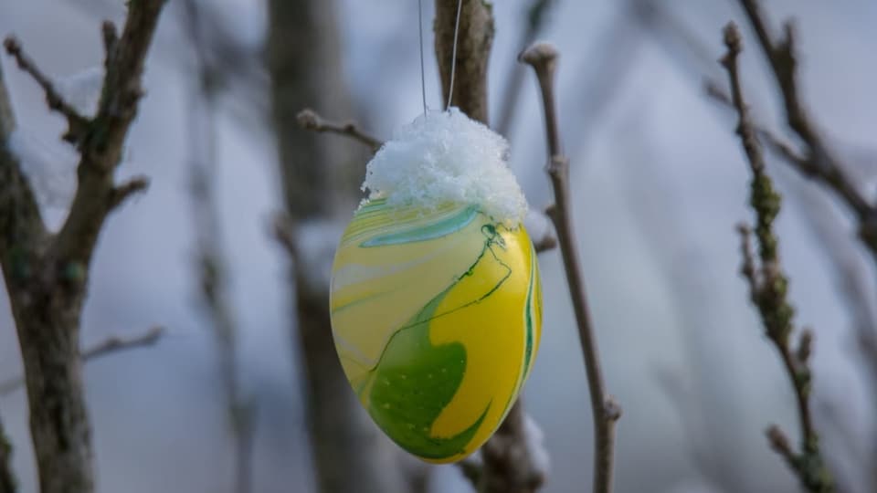 Ein Ei an einem Baum mit etwas Schnee drauf.