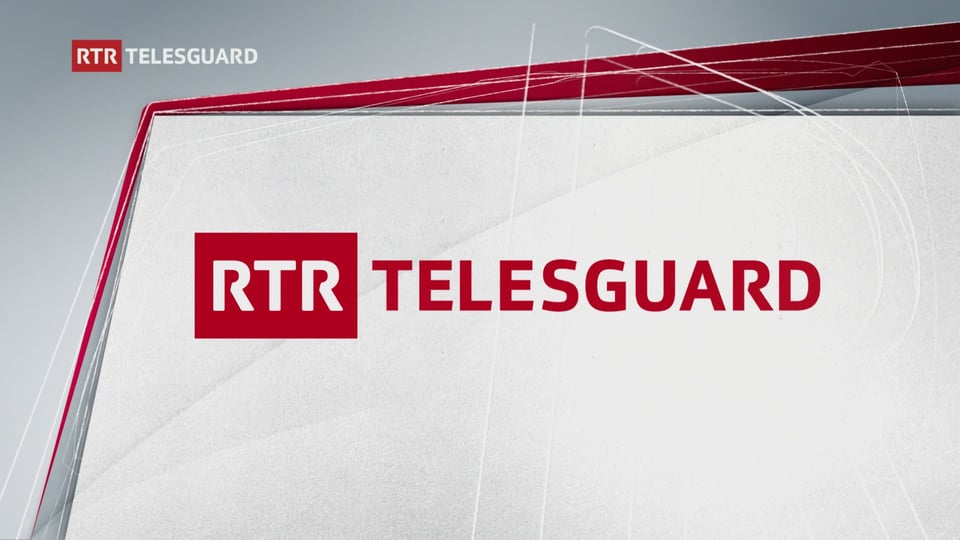 grau rotes Logo RTR Telesguard