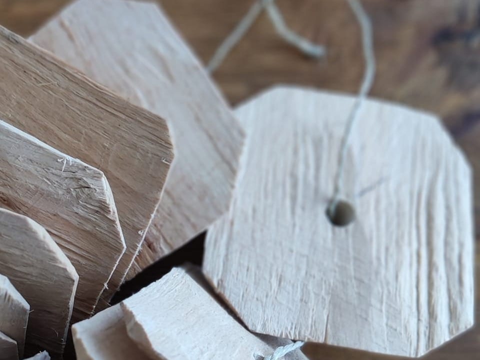 Holzscheiben aus weissem Buchenholz.
