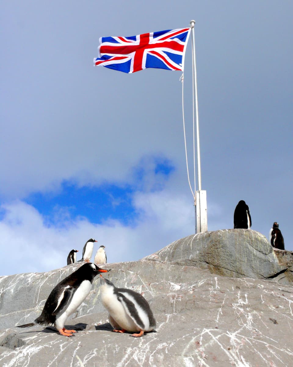 Auf einem Fels sitzen Pinguine, dahinter weht eine britische Fahne.