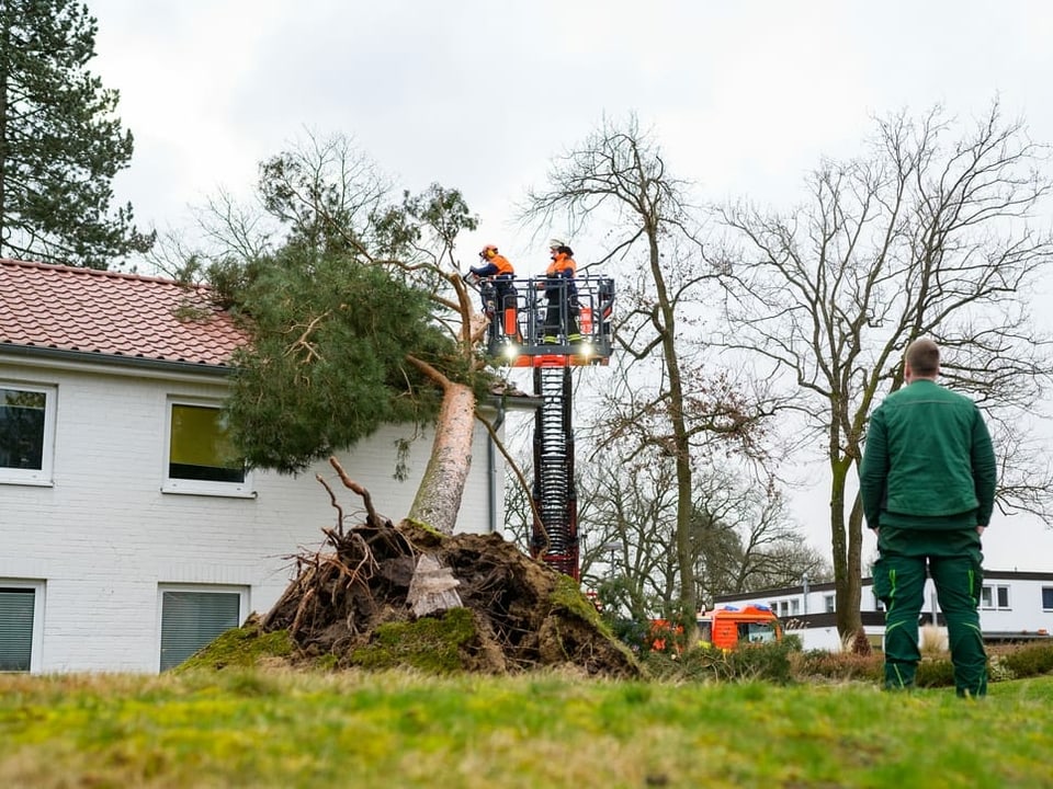 Einsatzkräfte der Freiwilligen Feuerwehr waren im Einsatz, wie hier in Niedersachsen beim Beseitigen eines umgestürzten Baums.