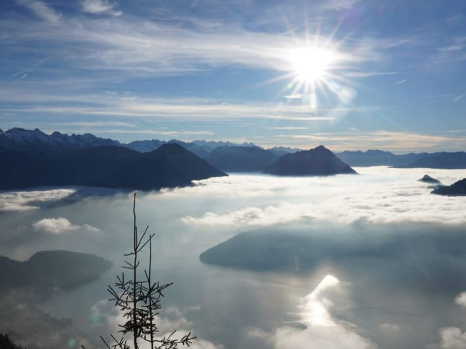 Rigi Rigi