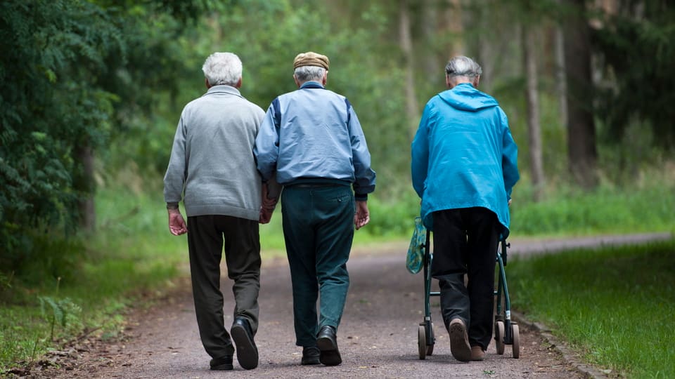 Drei Rentner spazieren durch den Wald.