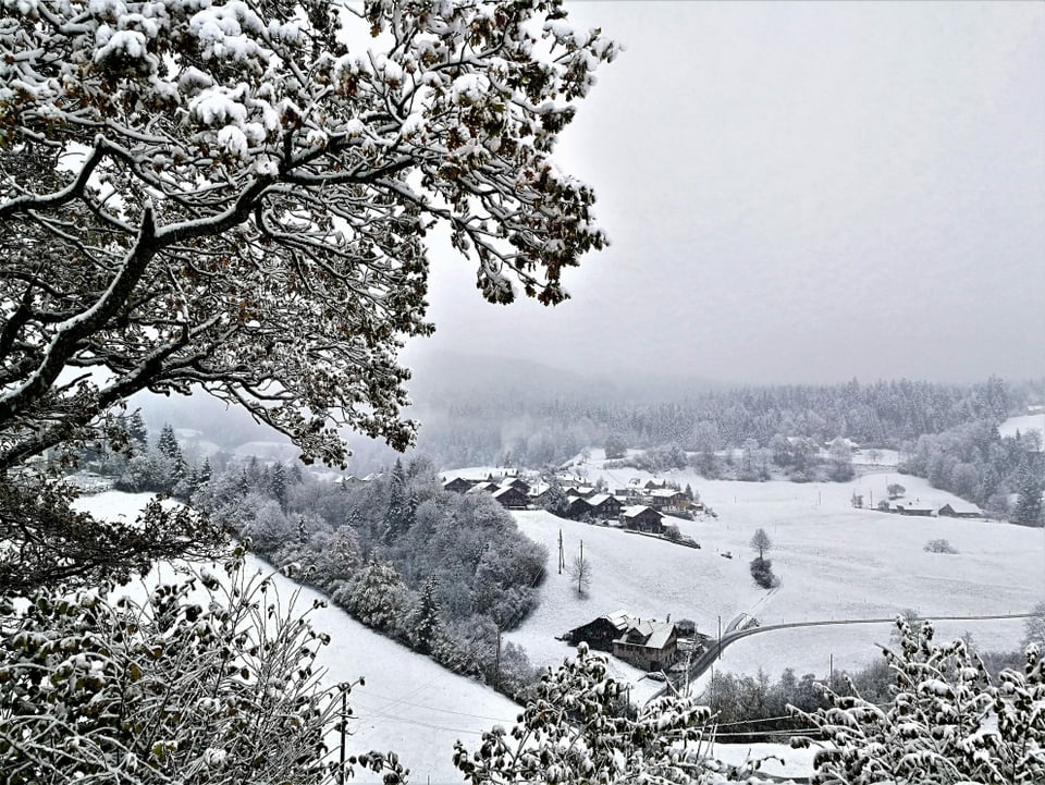 Hügel, Felder und Bäume mit Schnee bedeckt