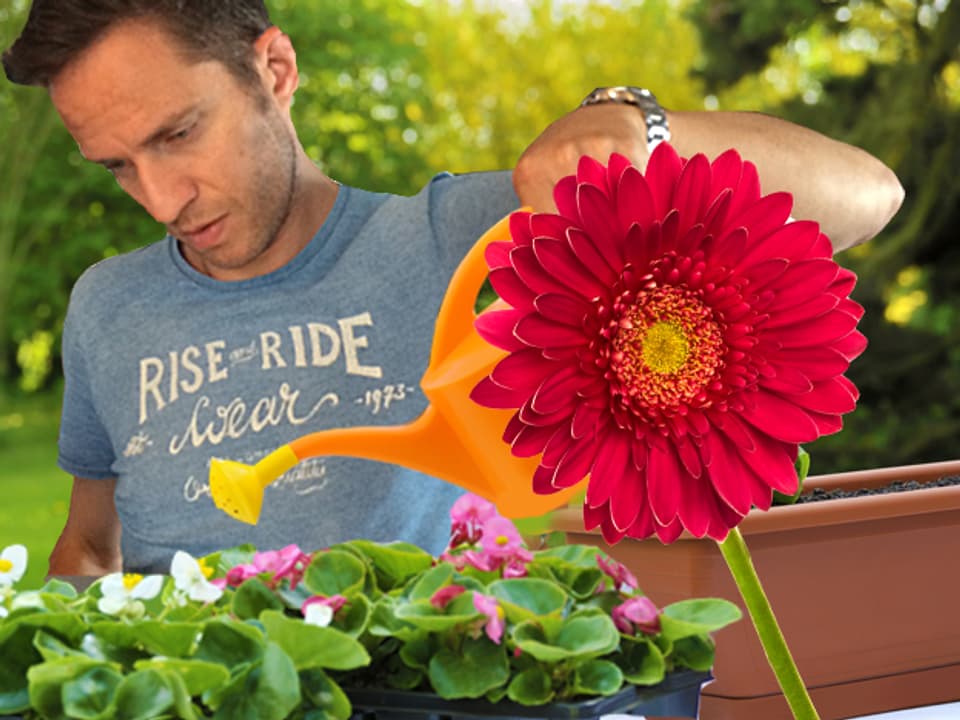 Adrian Küpfer giesst Blumen.