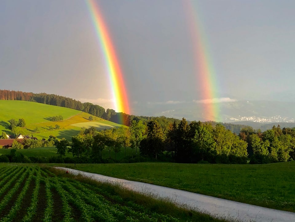 Doppelter Regenbogen über einem Feld
