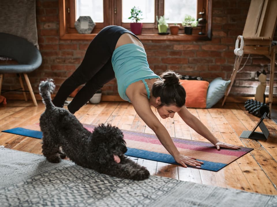 Ein Mensch und ein Hund machen nebeneinander die Yogaübung des herabschauenden Hundes.