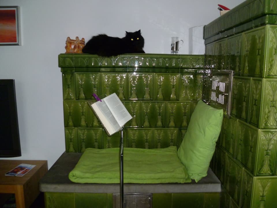 Eine schwarze Katze liegt auf einem grünen Kachelofen.