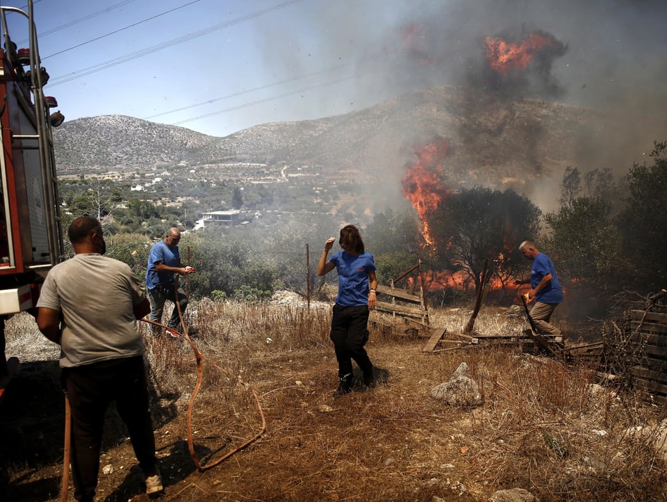 Four people standing in a dry area.  A fire can be seen around a tree in the background.