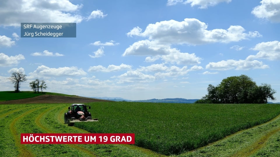 Traktor am mähen eines grünen Feldes. Die Sonne scheint. 