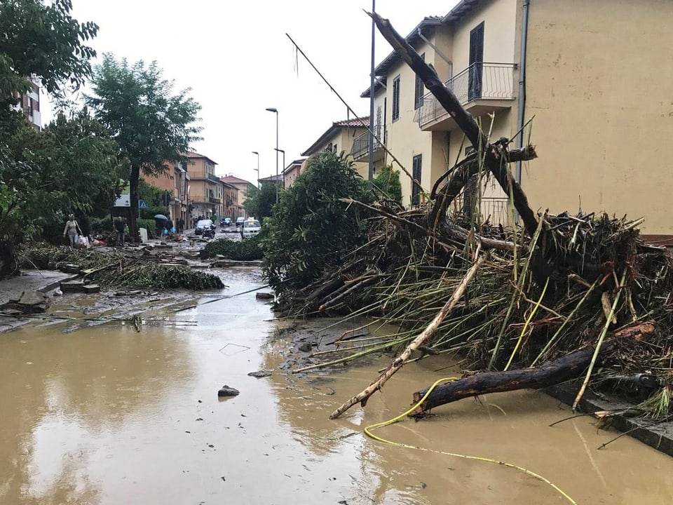 Ausgerissene Bäume und Sträucher sowie Schutt versperren eine Strasse in Livorno.