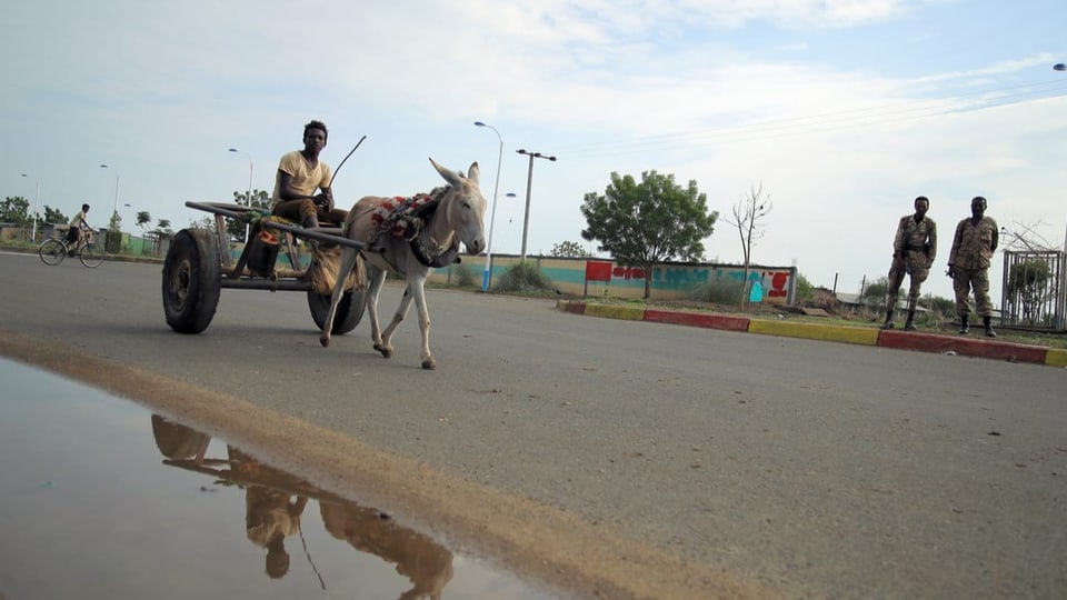 Ein Zivilist fährt auf einer Kutsche neben Amhara-Kämpfern vorbei