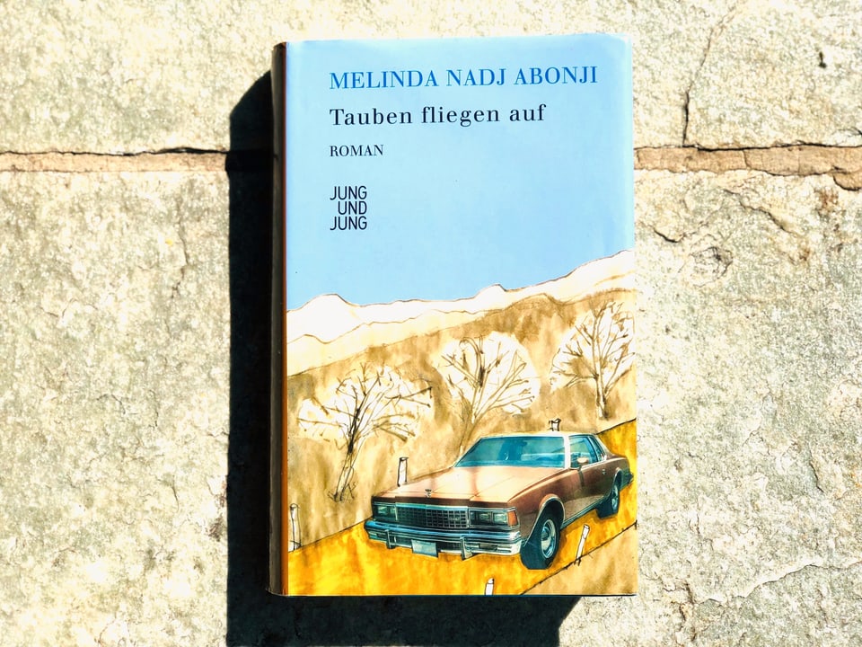 Der Roman «Tauben fliegen auf» von Melinda Nadj Abonji liegt auf einer Steinplatte