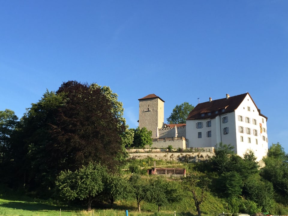 Schloss Wildenstein von Auenstein aus gesehen.