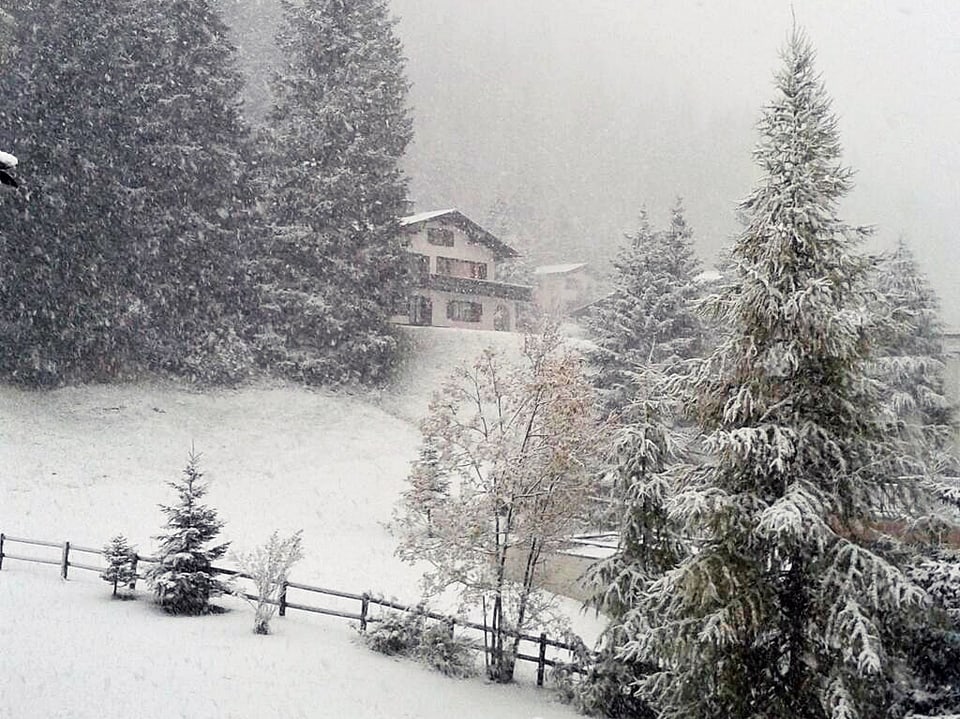 Schneebedeckter Garten mit Bäumen in Davos