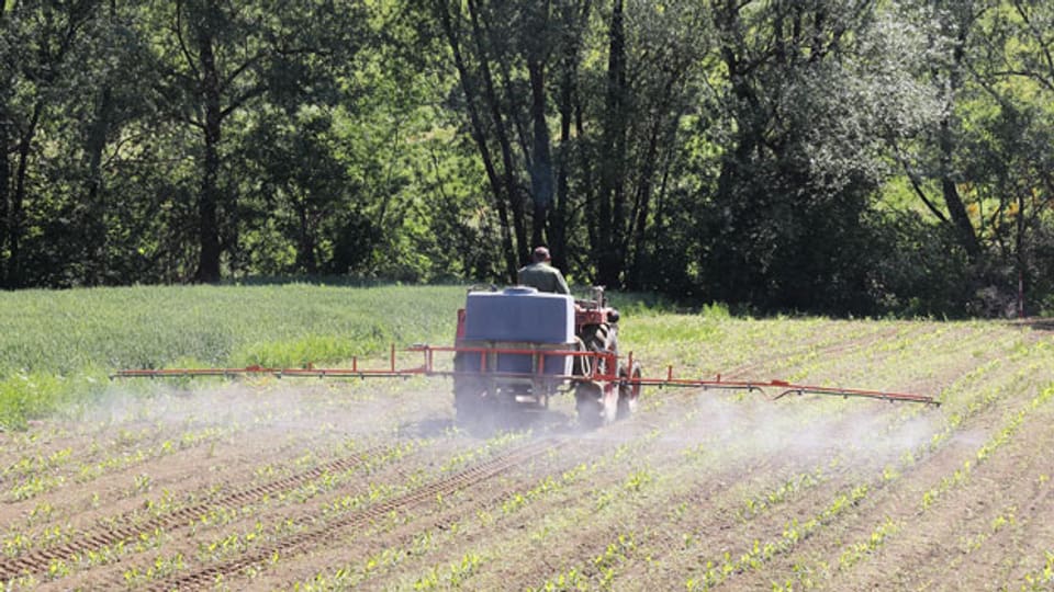 Glyphosat: Die Nr. 1 unter den Pestiziden soll Krebs verursachen