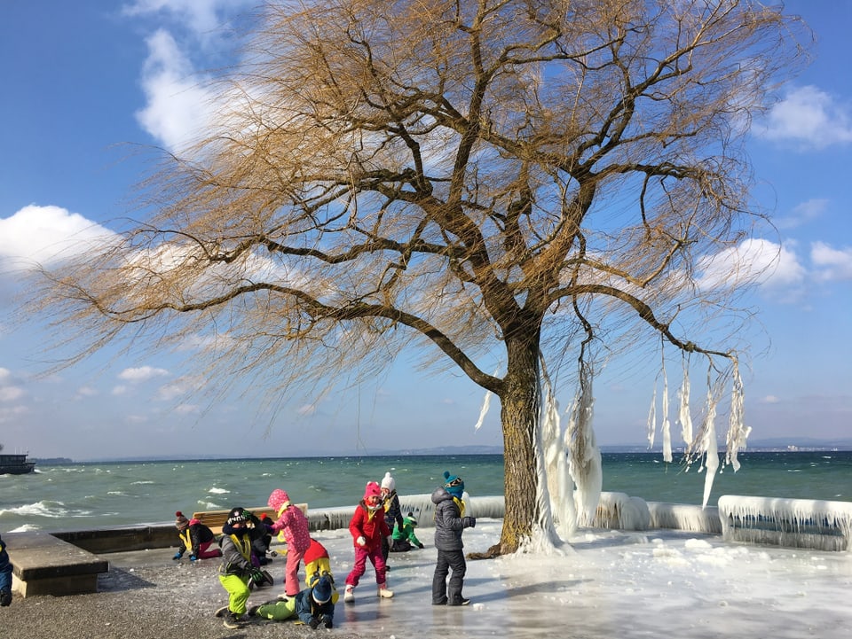 Kinder spielen auf der Eisfläche. Dahinter ein vereister Baum, der Bodensee und blauer Himmel.