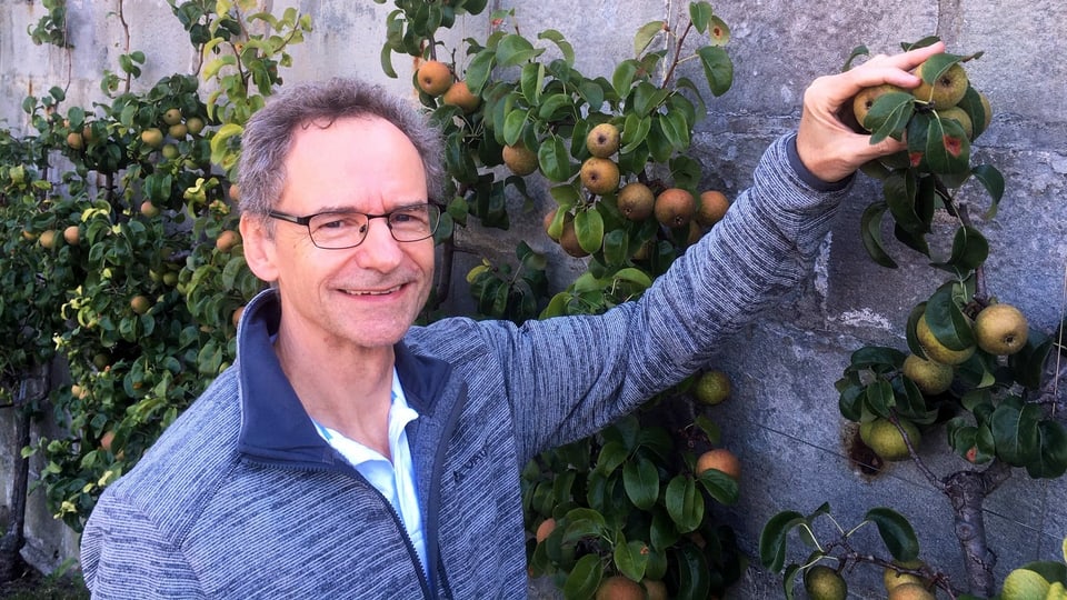ein Mann steht in einem Garten und hält eine Frucht hoch