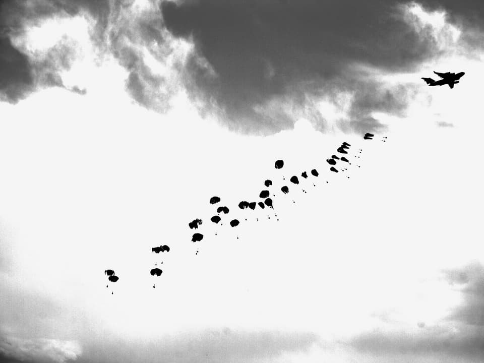 Fast 40 Fallschirme, aufgereiht am Himmel, vorne ein Flugzeug (schwarz-weiss).
