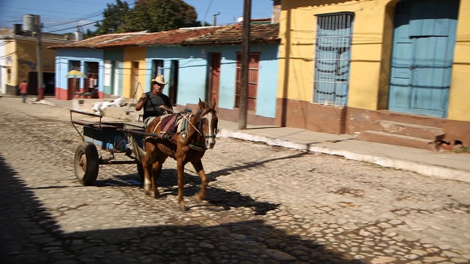Pferd, das einen Wagen in einer kubanischen Strasse zieht.