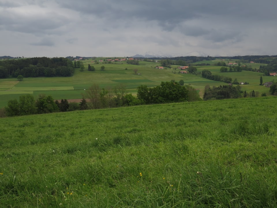 Weitblick über Wiesen.