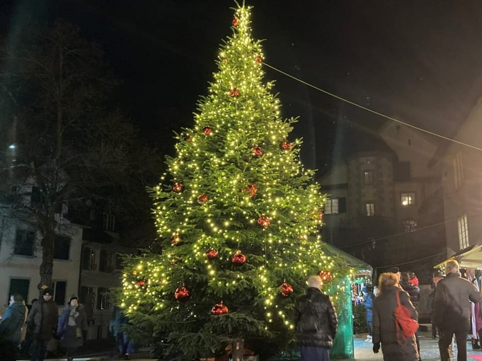 Ein Tannenbaum schön beleuchtet.