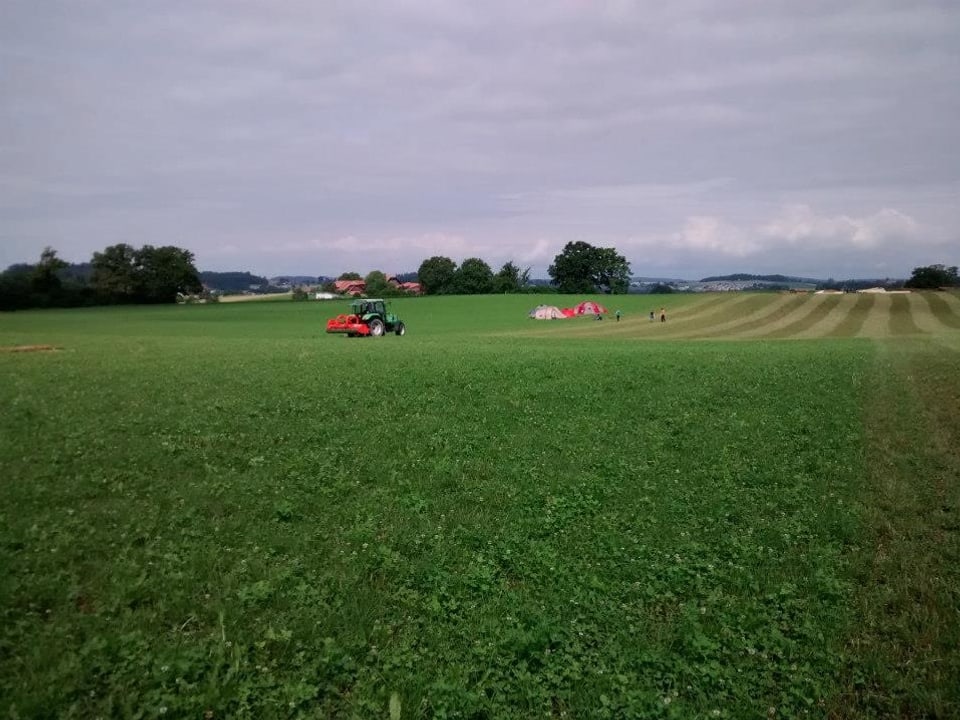 Grüne Wiese mit Traktor. 