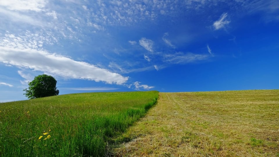 Sonne und Wolkenfelder über Wiese und Feld.